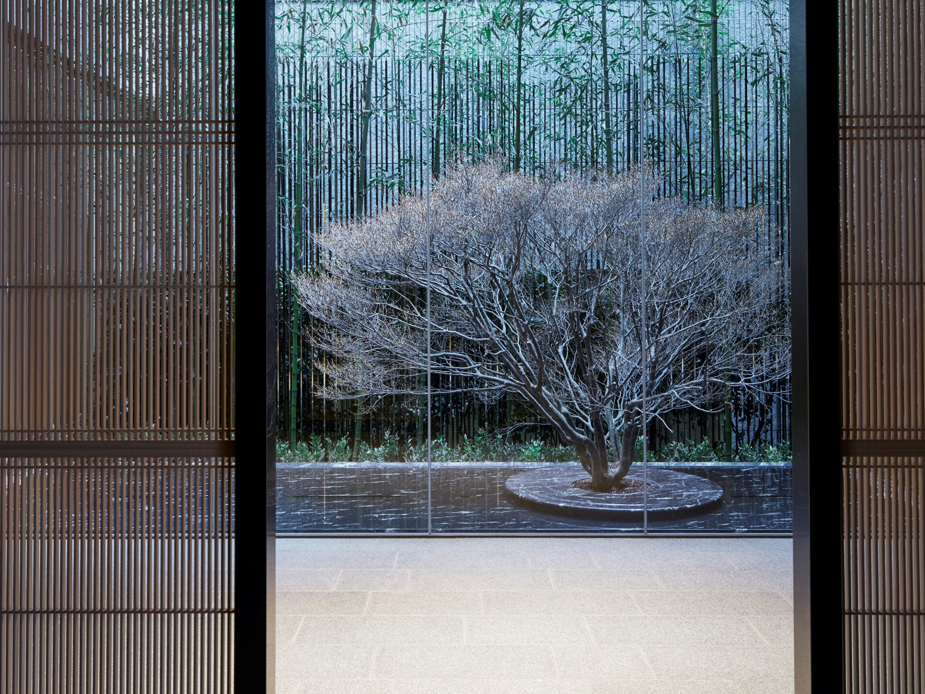 The Thousand Kioto Exterior foto A view of the garden from the house